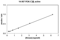 Eurofins DiscoverX PI3K-C2 Protein 250 &mu;g | Buy Online | Eurofins DiscoverX | Fisher Scientific